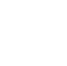 Bric Logo
